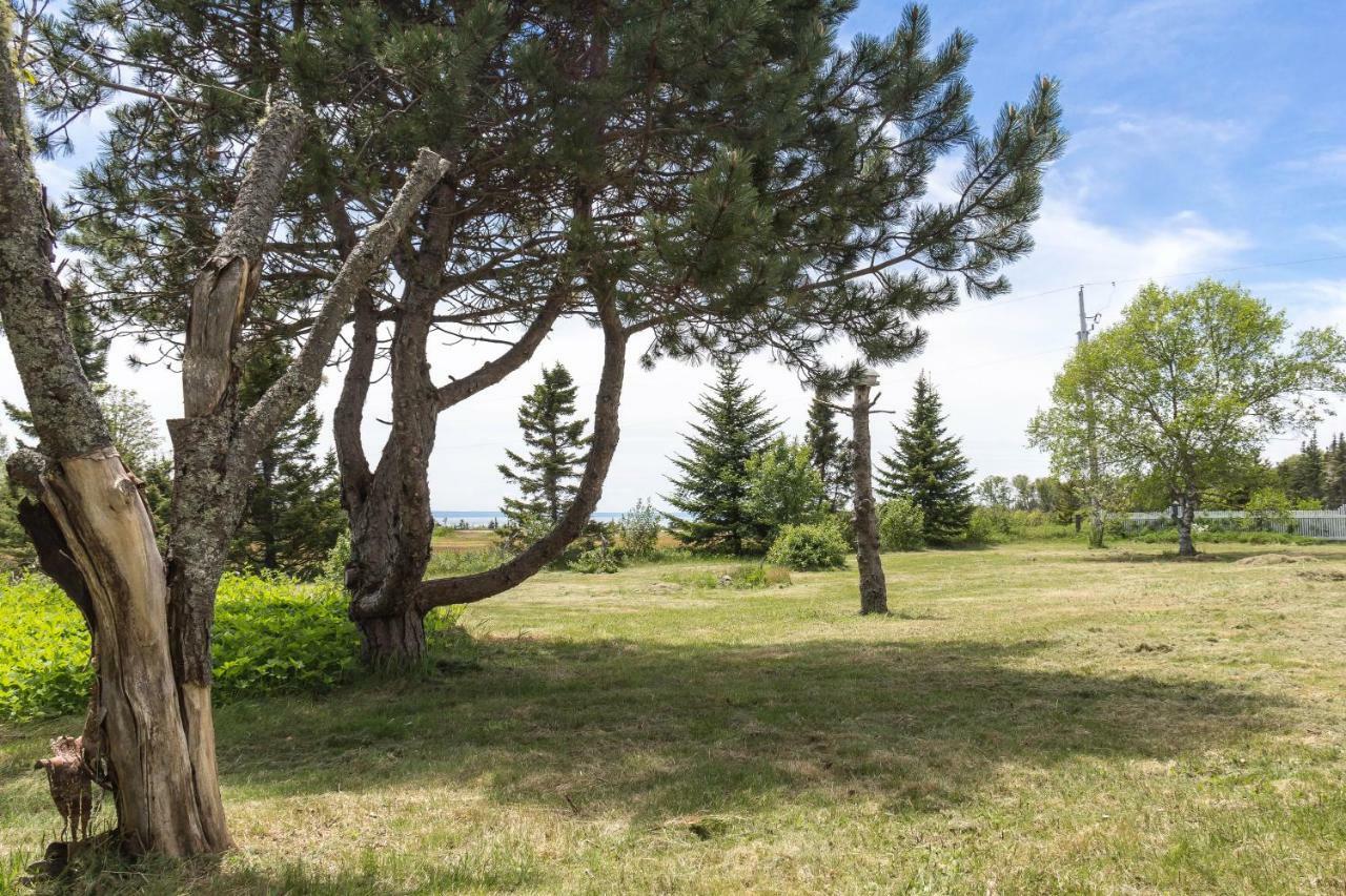 Fox Point Inn Parrsboro Exteriér fotografie